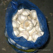 New Crop High Quality Pure White Garlic